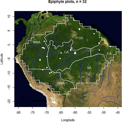 The Amazon Epiphyte Network: A First Glimpse Into Continental-Scale Patterns of Amazonian Vascular Epiphyte Assemblages